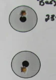 1785714002064.webp