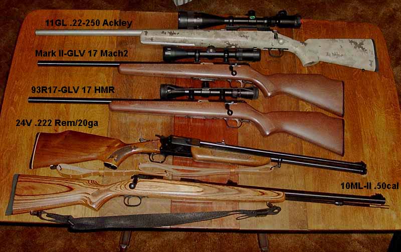 2004 Savage Guns.jpg