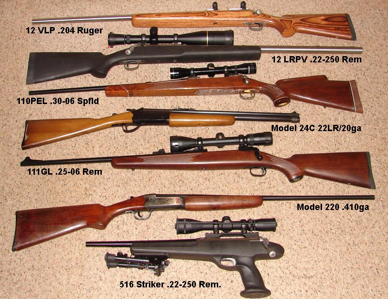 2006 Savage Guns.jpg