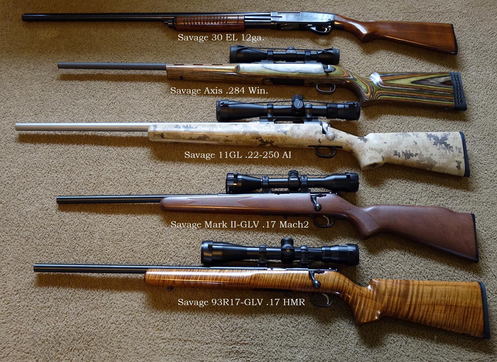 2014 Savage Guns (4).jpg