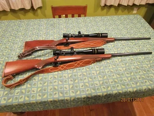 Bolt rifles 4.webp