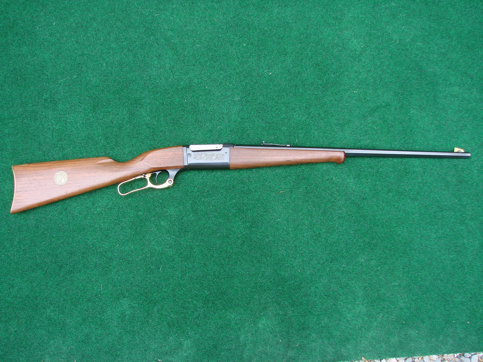 Savage 1895 (.308) (R).webp