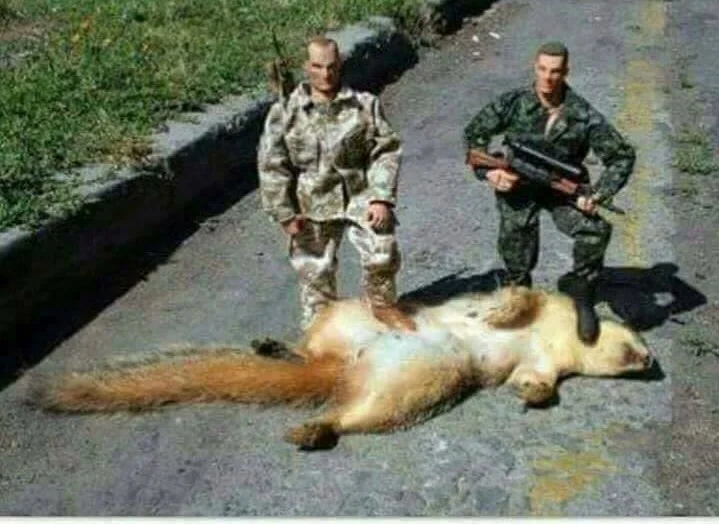action figures.webp