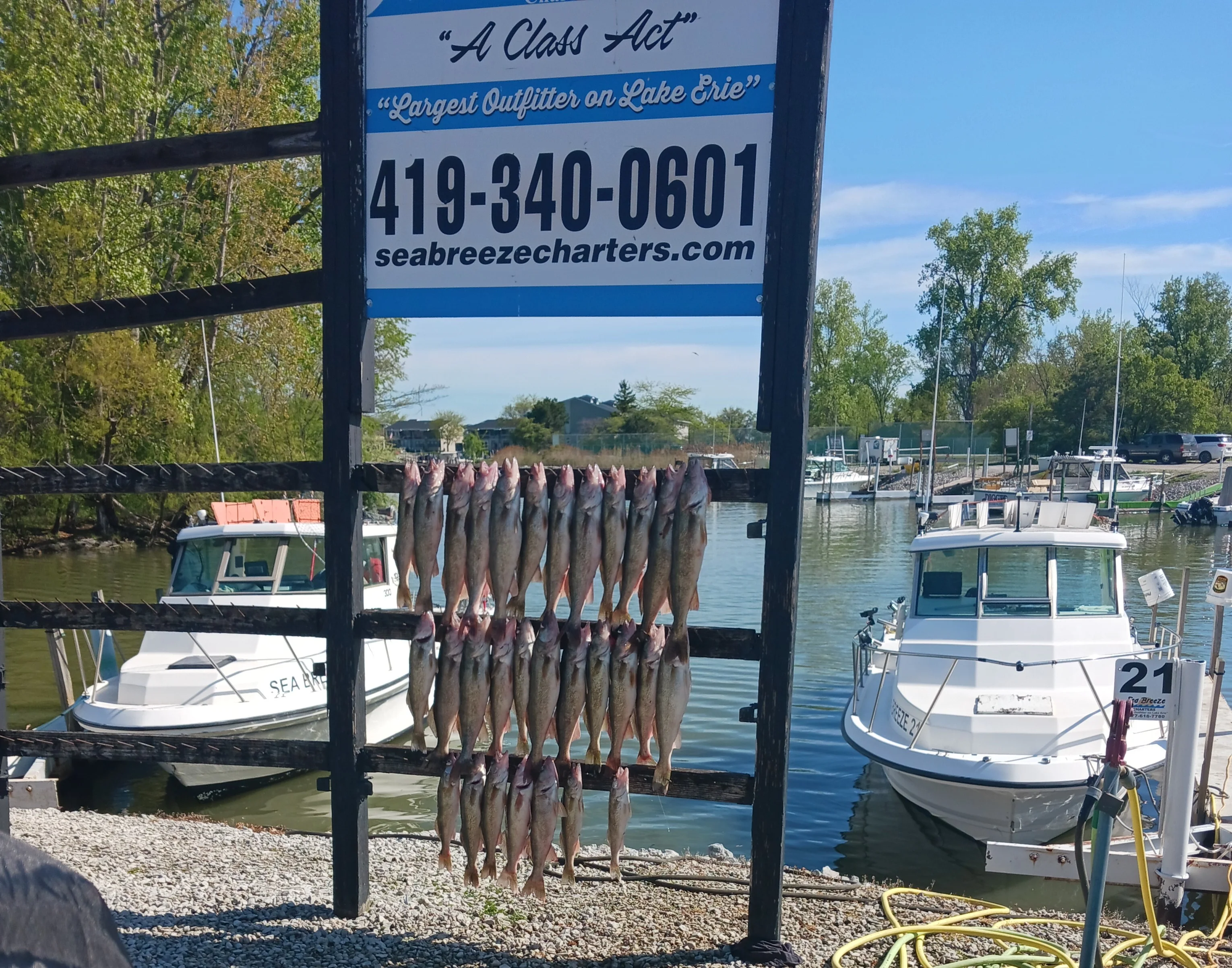 Lake Erie.webp