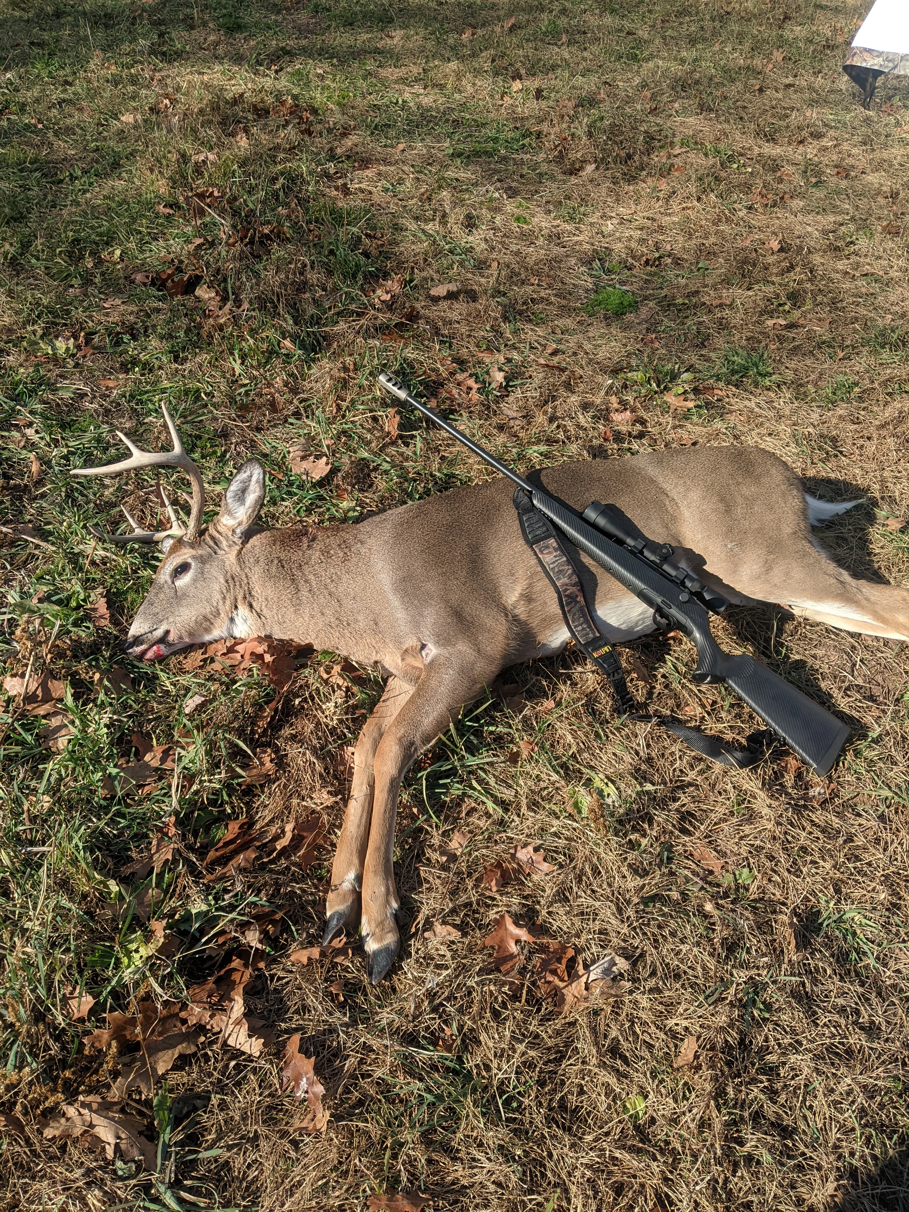 11-18 Buck.webp