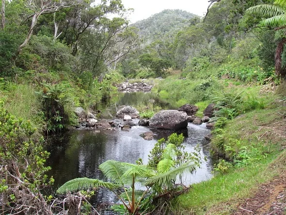 Kauai 2.webp
