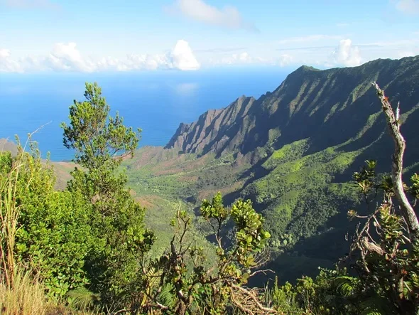Kauai.webp