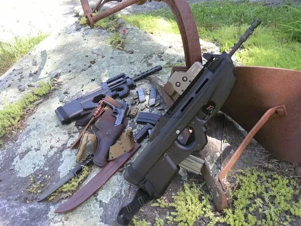 Bullpups.webp