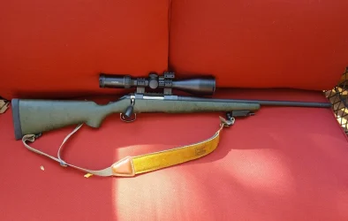 Ruger 204.webp