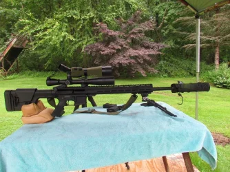 Bolt AR 10.webp